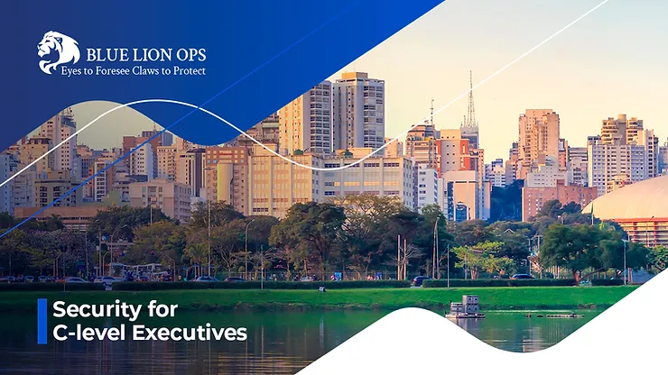 Expert Travel Consultation: Ensuring Safety and Security for C-level Executives in Brazil