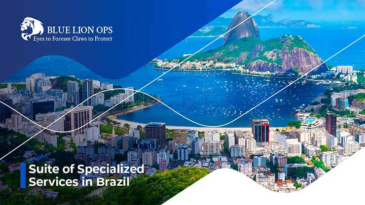 Mastering Security: Blue Lion Ops’ Suite of Specialized Services in Brazil